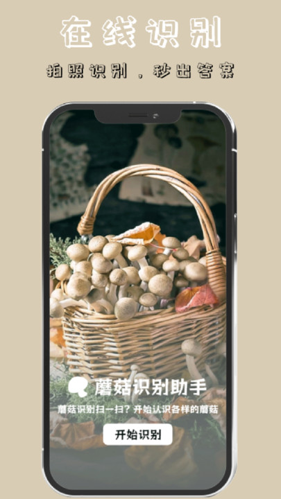蘑菇识别高手好玩吗 蘑菇识别高手玩法简介