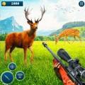 Deer Hunter Dino Hinting