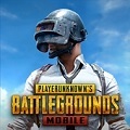 pubg龙珠版