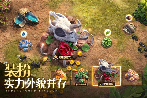 小小蚁国真实蚂蚁世界截图1