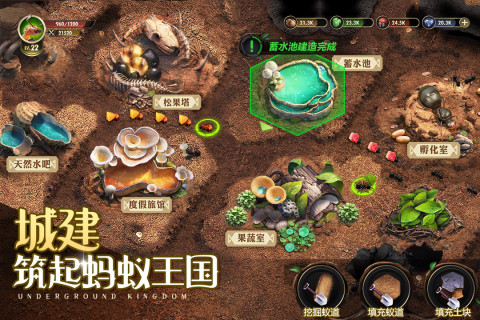 小小蚁国真实蚂蚁世界截图4