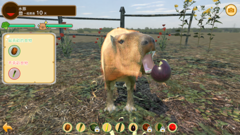 Capybara Spa截图1