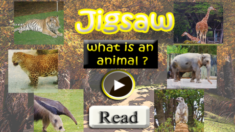 動物拼圖為孩子們的幼兒園截圖