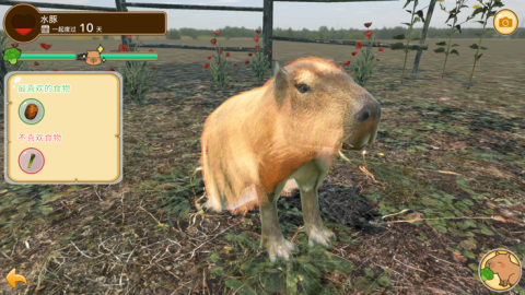 Capybara Spa截图