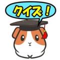 モルモット力诊断クイズ