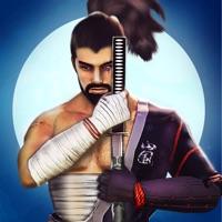 武士 戰(zhàn)士