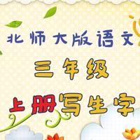 小學(xué)生練寫字加速器