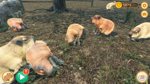 Capybara Spa截图4