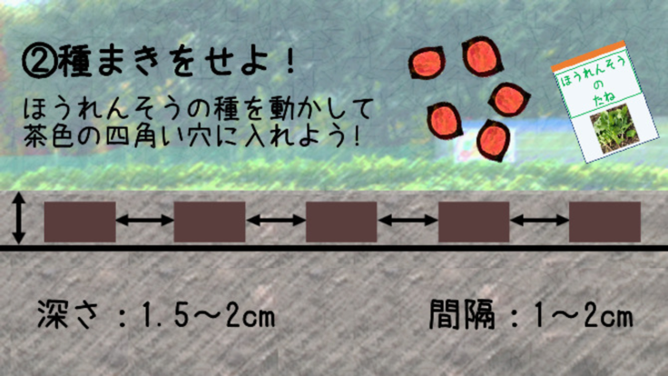 わたしのはたけ好玩吗 わたしのはたけ玩法简介