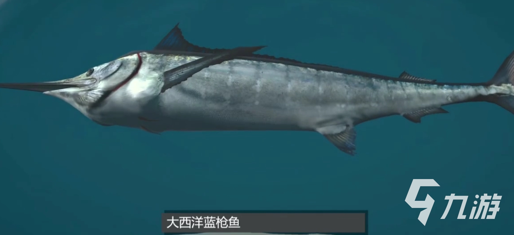 終極釣魚模擬器漁網(wǎng)怎么裝備使用 終極釣魚模擬器漁網(wǎng)在哪買