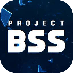 Project BSS加速器