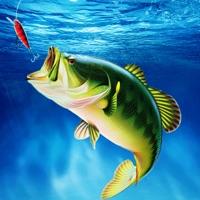 Hook Hunter Fishing Games 3D加速器