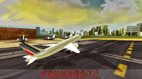 飞转运飞机飞行员航空客运模拟截图1