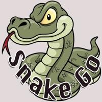 SnakeGo加速器