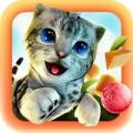 电子宠物猫猫咪加速器