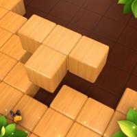 Wood Block Puzzle GamesTetria加速器