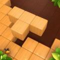 Wood Block Puzzle GamesTetria