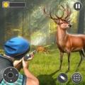 Sniper Shooter 3D Deer Hunter加速器