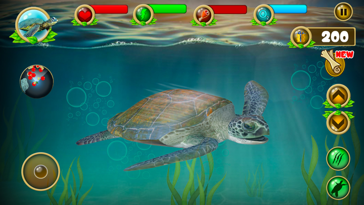 海龟生存模拟器好玩吗 海龟生存模拟器玩法简介