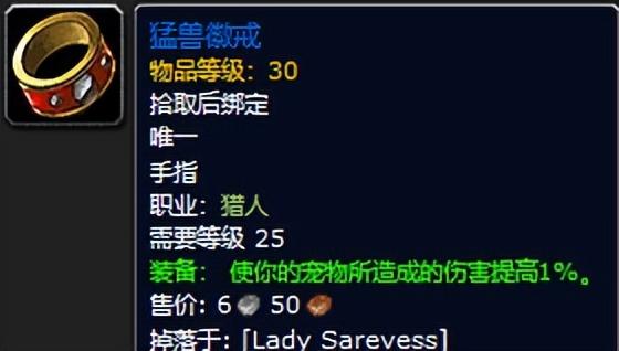 魔兽世界黑暗深渊装备掉落一览（黑暗深渊任务攻略）