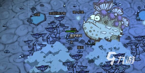 饥荒新家园星光树怎么种植 饥荒新家园星光树在哪