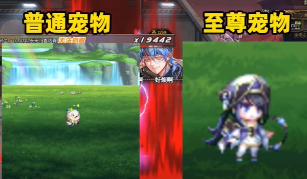 dnf2024春节宠物外观一览