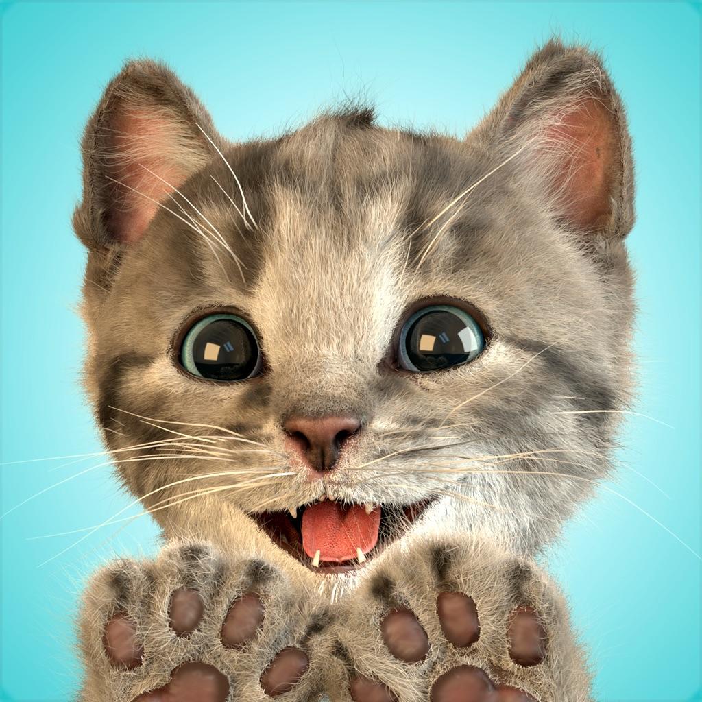 LittleKitten小猫加速器
