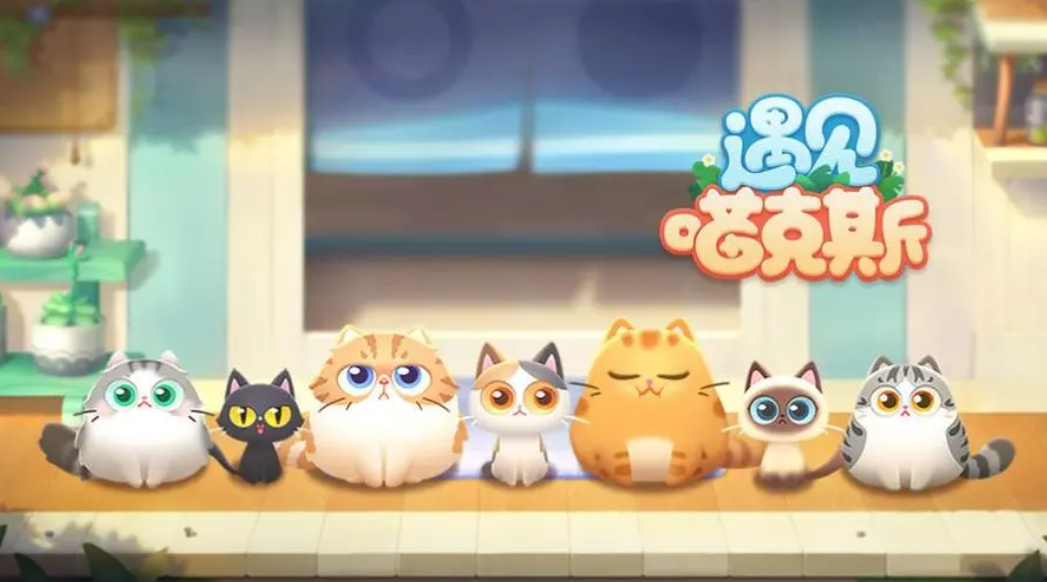 有趣的猫猫游戏大全2024 好玩的猫猫游戏推荐截图