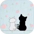 猫猫躲猫猫
