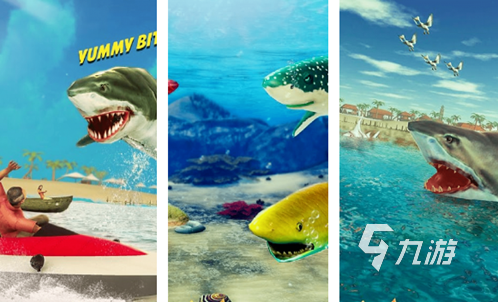 耐玩的鲨鱼游戏大全2024 受欢迎的鲨鱼游戏有哪些