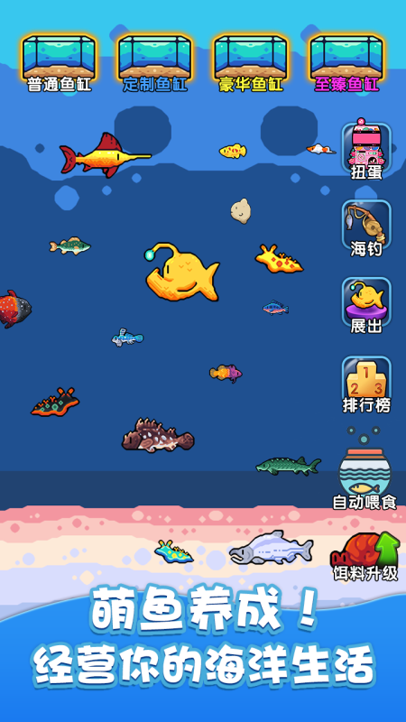 快来养鱼截图3