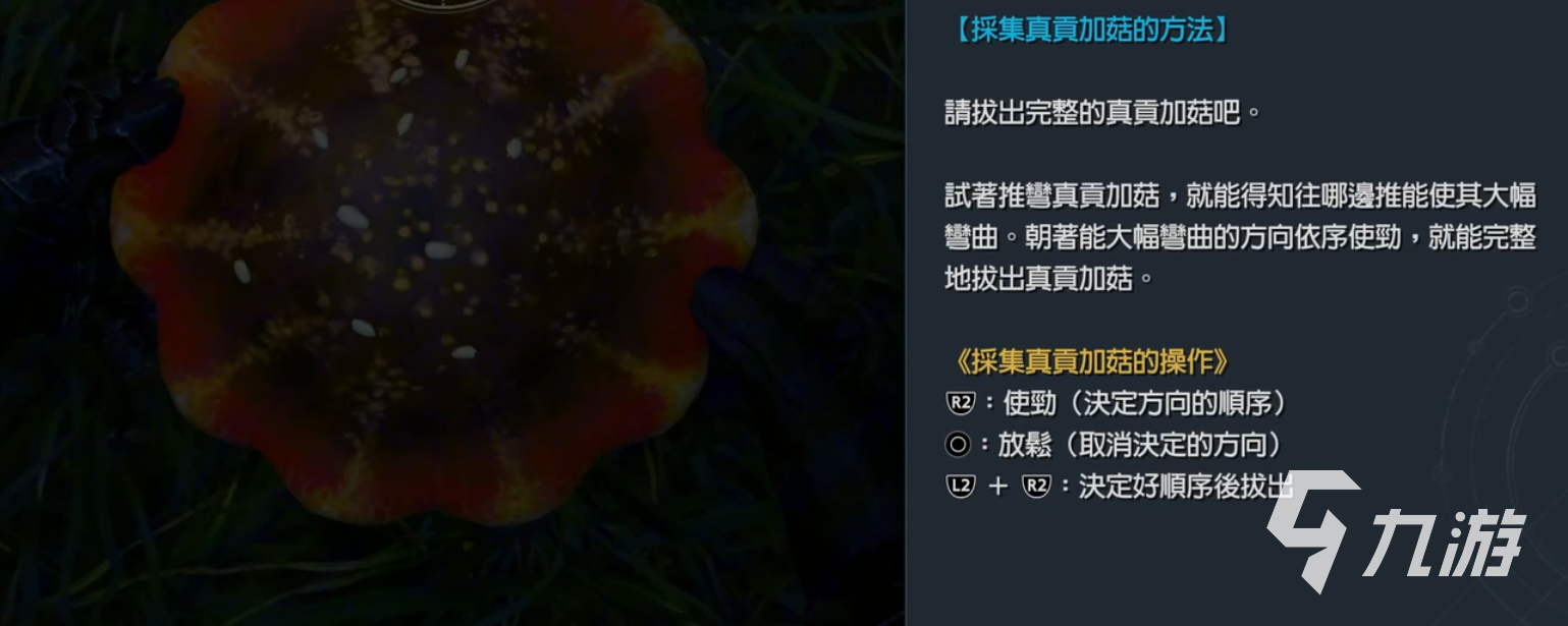 最終幻想7重生蘑菇有什么用 最終幻想7重生蘑菇在哪