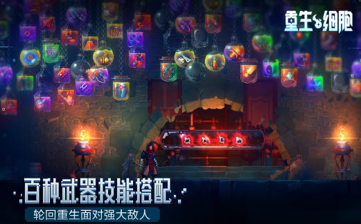 好玩的肉鸽游戏有哪些 2024热门肉鸽游戏合集截图