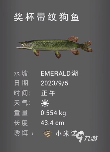 釣魚星球帶紋狗魚怎么釣 釣魚星球帶紋狗魚釣法分享