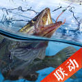 天天钓鱼