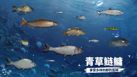 天天钓鱼截图1