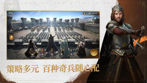 指环王：纷争截图2