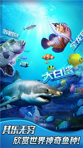 有趣的钓鱼游戏中文版推荐 2024必玩的钓鱼游戏大全截图