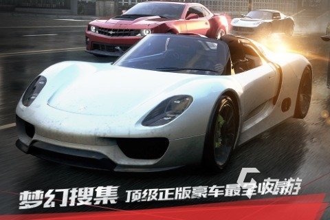 大型的賽車(chē)游戲單機(jī)版推薦2024 有哪些單機(jī)賽車(chē)手游下載