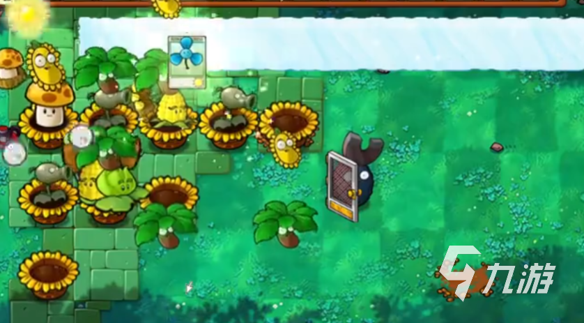 植物大战僵尸杂交版第39关怎么过 物大战僵尸杂交版第39过法分享