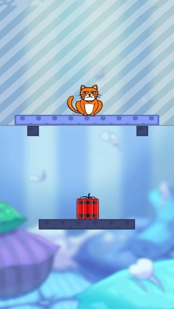 我的猫咪玩法分享 我的猫咪怎么玩截图