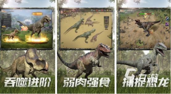 好玩的游戏下载大全 2024高人气的游戏分享