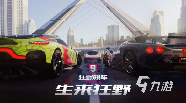 兩人玩的賽車游戲盤點(diǎn) 2024耐玩的賽車手游排行榜