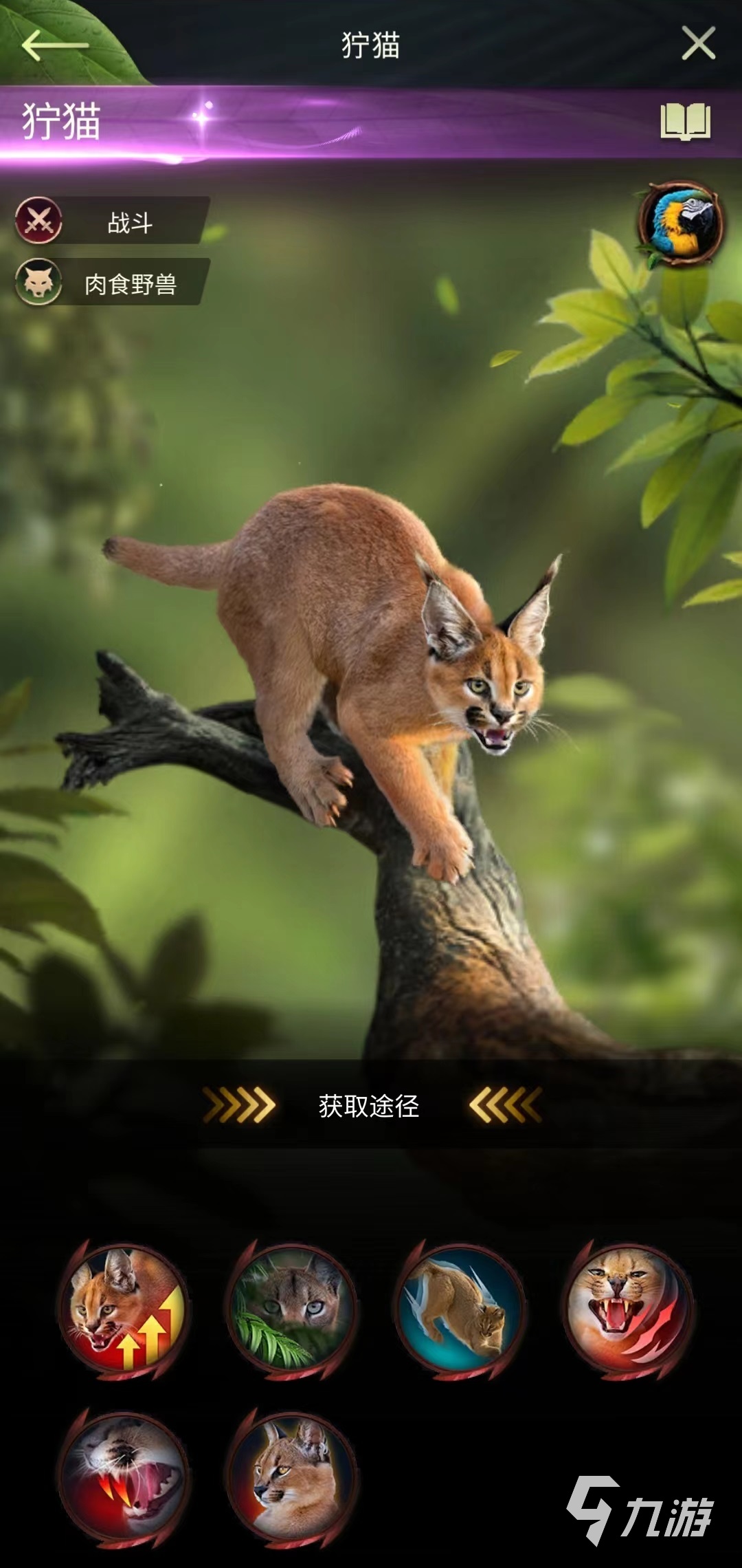 野兽领主新世界狞猫怎么样 狞猫技能效果详解