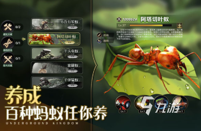经典的无限生存游戏下载排行 2024人气高的无限生存游戏分享