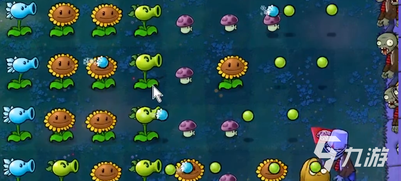 植物大战僵尸高难版玩法有哪些 植物大战僵尸高难版玩法介绍