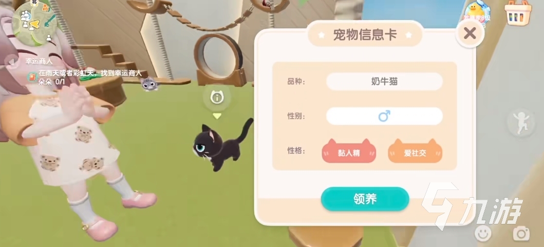 心动小镇养猫升级攻略 心动小镇怎么养猫