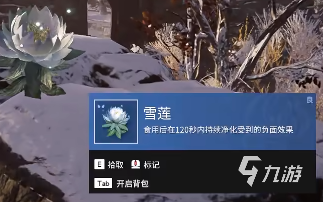 永劫無(wú)間手游雪蓮在哪 永劫無(wú)間手游雪蓮介紹