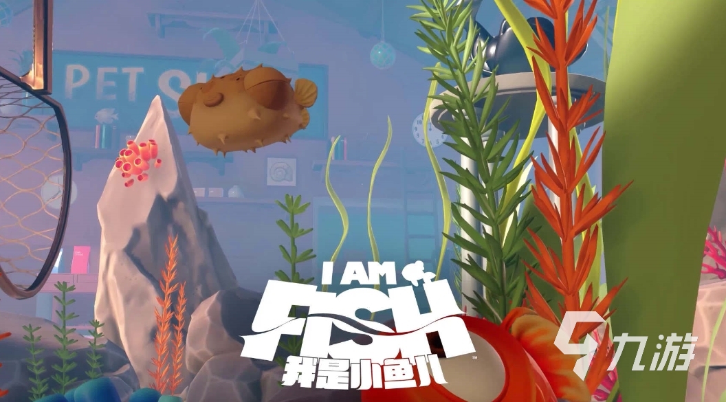 我是小魚(yú)兒有幾種魚(yú) 我是小魚(yú)兒魚(yú)類介紹