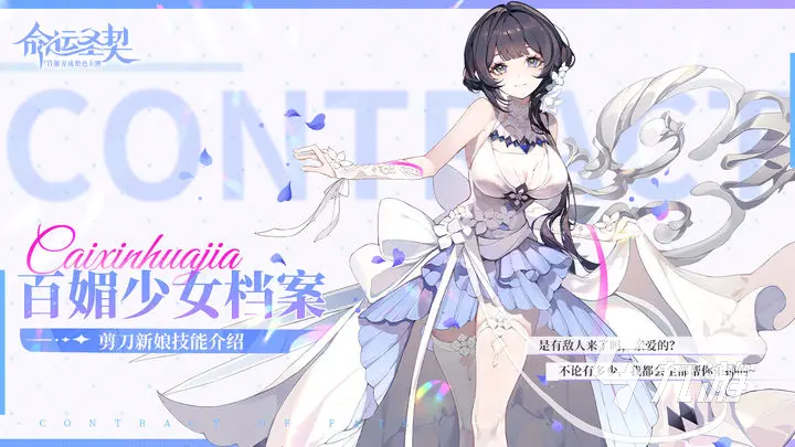 命运圣契女角色有哪些 命运圣契女角色介绍